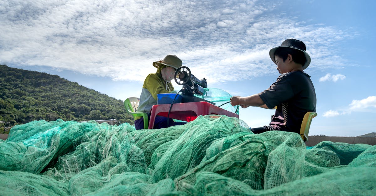 découvrez des vêtements pour enfants durables, conçus avec des matériaux écologiques et de qualité. alliez style, confort et respect de l'environnement pour habiller vos enfants de façon responsable.